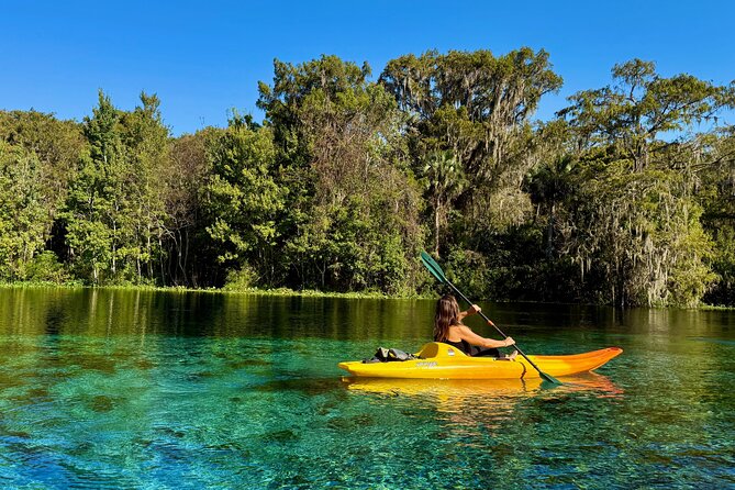 Silver Springs Premium Florida Wildlife Experience! - Price and Extra Fees: The Real Cost of a Premium Kayak Tour