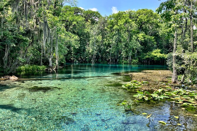 Silver Springs Premium Florida Wildlife Experience! - Meeting Point and Mobile Ticket: Getting Started Smoothly