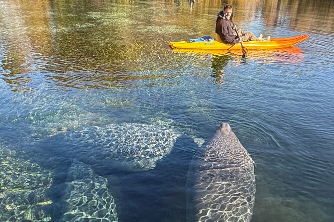 Silver Springs Premium Florida Wildlife Experience! - Who This Tour Is For (and Who Might Skip It)