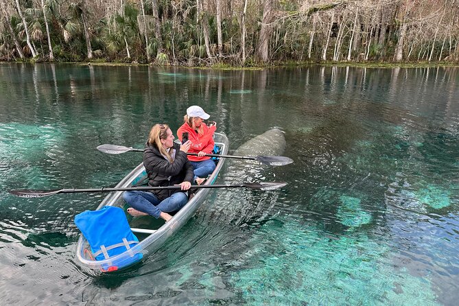 Silver Springs Self Guided Clear Kayak Rentals - King’s Trail: shoreline monkeys and old Florida relic vibes