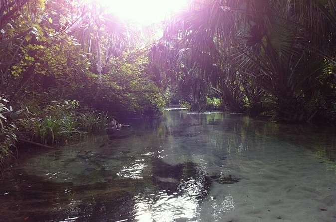 Silver Springs Self Guided Clear Kayak Rentals - Treasure hunt maps and sunken ships you can actually look for