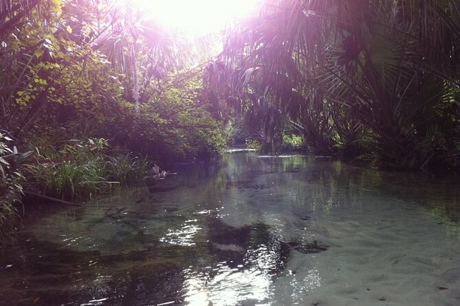 Silver Springs Self Guided Clear Kayak Rentals - Reaching the main spring: where the water pumps out