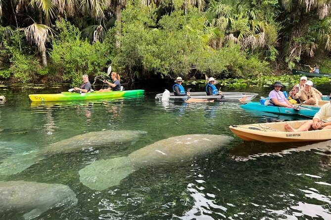 Silver Springs Self Guided Clear Kayak Rentals - Gear and prep that make the difference