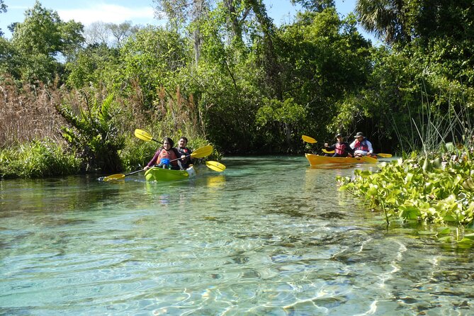 Small Group Rock Springs Run Eco Kayak Adventure - Rock Springs Run eco kayak: the real reason people skip the theme-park day