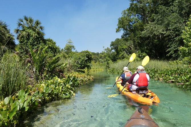 Small Group Rock Springs Run Eco Kayak Adventure - Where you meet: Kings Landing in Apopka