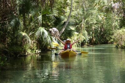 Small Group Rock Springs Run Eco Kayak Adventure - Price and logistics: is $95 worth it?