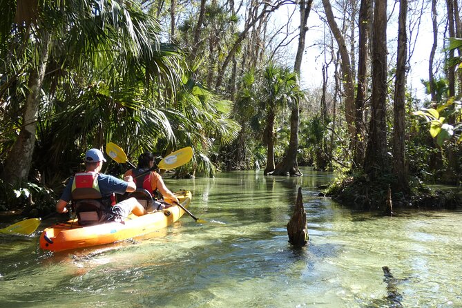 Small Group Rock Springs Run Eco Kayak Adventure - The spring swim: cool water, short pause, big payoff