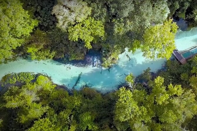 Small Group Rock Springs Run Eco Kayak Adventure - Paddling technique: what first-timers should expect
