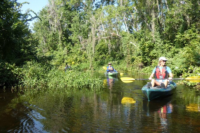 Small Group Scenic Wekiva River Kayak Tour near Orlando - The Mid-Tour Swim Break: A Refreshing Reset (Bring the Right Stuff)