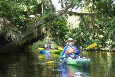 Small Group Scenic Wekiva River Kayak Tour near Orlando - Wildlife Spotting on the Wekiva: Alligators, Birds, and Florida Plants Up Close