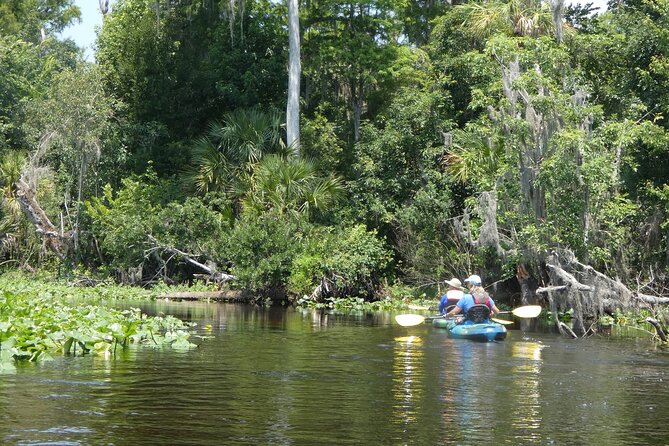 Small Group Scenic Wekiva River Kayak Tour near Orlando - Price and Value: Is $80 Worth It for This Orlando Kayak Tour?