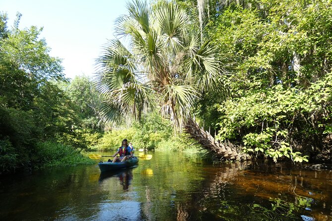 Small Group Scenic Wekiva River Kayak Tour near Orlando - What to Wear and Bring for a Smooth Wekiva Kayak Day