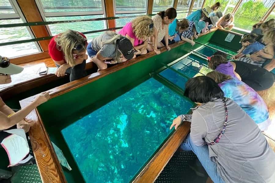 Small Group Silver Springs State Park Day Tour from Orlando - Mammoth Spring and Hollywood, All in One Park