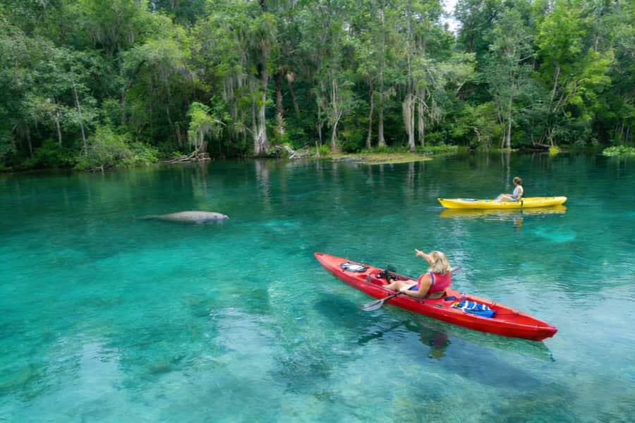 Small Group Silver Springs State Park Day Tour from Orlando - The Glass-Bottom Boat Ride: Seeing the Springs From Below