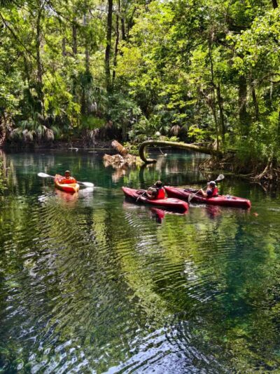 Small Group Silver Springs State Park Day Tour from Orlando - Orlando Pickup Without the Big-Bus Chaos