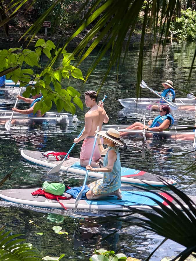 Small Group Silver Springs State Park Day Tour from Orlando - Free Time at Silver Springs: Hike, Kayak, or Paddle at Your Pace