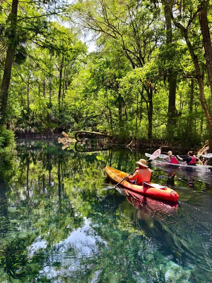 Small Group Silver Springs State Park Day Tour from Orlando - Artifacts and Underwater Movie Props: Why This Park Feels Unusual