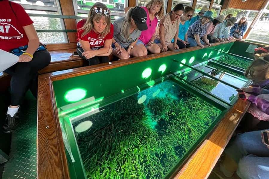 Small Group Silver Springs State Park Day Tour from Orlando - What’s Included (and What You’ll Pay For On Site)