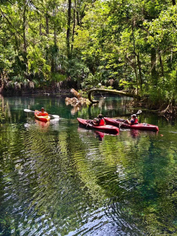 Small Group Silver Springs State Park Day Tour from Orlando - Orlando Pickup Without the Big-Bus Chaos