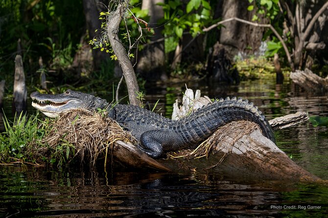 St. Johns River Lunch and Dinner Cruises in Sanford, Florida - Decks, Comfort, and the Sunset Question (Lunch vs Dinner)