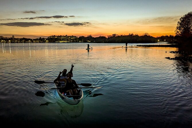 Sunset Clear Kayak or Paddleboard in Orlando - Gator-free cruising: the calm factor that changes everything