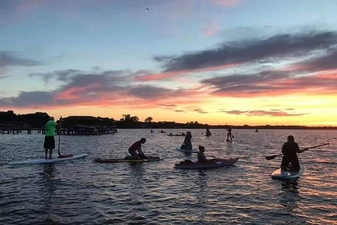 Sunset Clear Kayak or Paddleboard in Orlando - Gear, safety, and comfort for families, beginners, and dogs