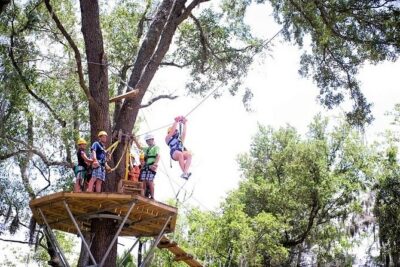 Treetop Express Zip Line Tour with 5 Zip Line Flights & 2 Sky Bridges Included - The Canyon Route: Low-and-Slow Builds Into Big Height