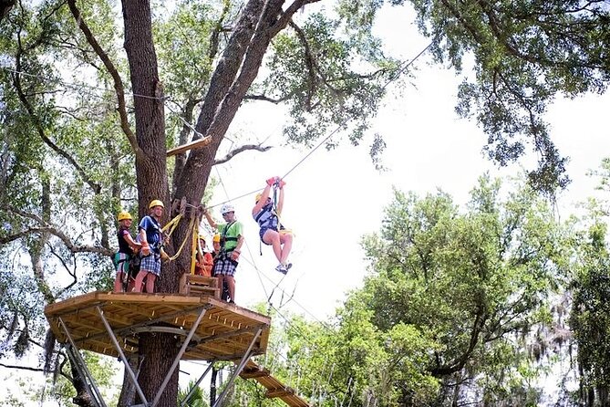 Treetop Express Zip Line Tour with 5 Zip Line Flights & 2 Sky Bridges Included - The Canyon Route: Low-and-Slow Builds Into Big Height