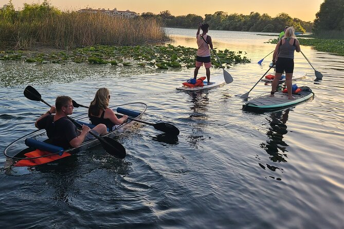Urban Clear Kayak or Paddleboard in Paradise: Morning/Night - Clear paddleboards vs kayaks: which option fits your group?