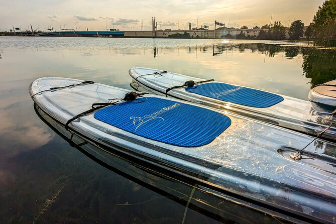 Urban Clear Kayak or Paddleboard in Paradise: Morning/Night - What you’ll see on Lake Ivanhoe: views and real wildlife odds