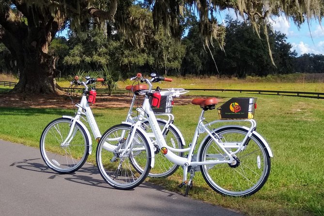 Village Bicycle Rental Free Delivery in The Villages Florida - Key points to know before you roll