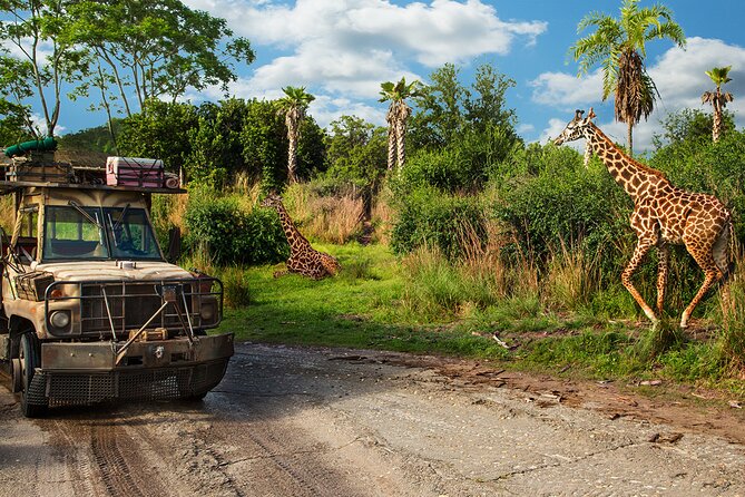 Walt Disney World Admission with Water Park and Sports Option - Price and planning reality: the no-Park-Hopper tradeoff
