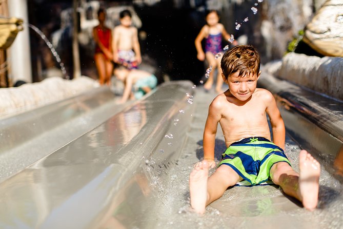 Walt Disney World Orlando Water Park Tickets - Stop 2: Blizzard Beach rides, plus the reality that the park may be closed