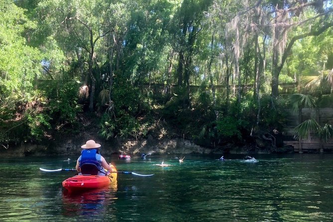 Wekiva River Guided Kayak Tour - Key highlights worth planning for