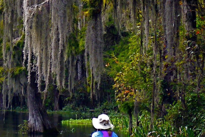 Wekiva River Guided Kayak Tour - Why the Wekiva River is a smart break from Orlando