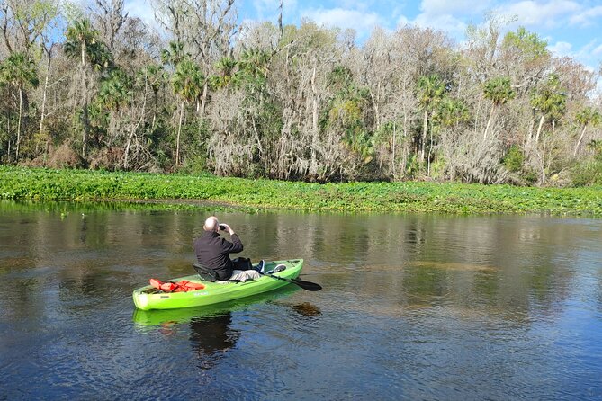 Wekiva Wildlife Kayaking Adventure Tour - Wildlife odds on the lower Wekiva (and what to watch for)