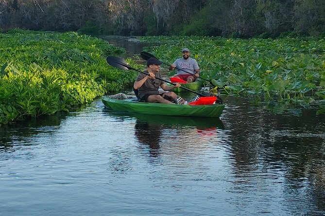 Wekiva Wildlife Kayaking Adventure Tour - Tandem kayaks, small-group comfort, and who should book