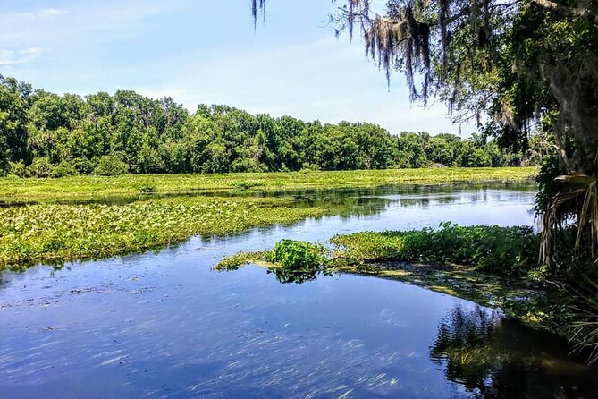 Wekiva Wildlife Kayaking Adventure Tour - From 379 Malekean Trail to the upstream run (then back again)
