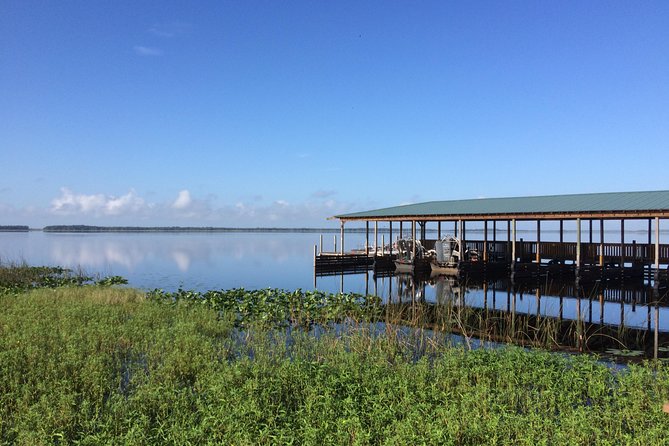 Wild Florida Adventure Package Tour with Hotel Pickup & Lunch - Practical Tips Before You Go