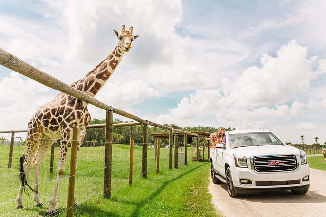 Wild Florida Drive-Thru Safari and Gator Park Admission - Key Highlights at a Glance