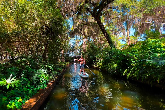 Winter Park Paddle Board Tour - Wildlife spotting on the lakes: birds are the main event