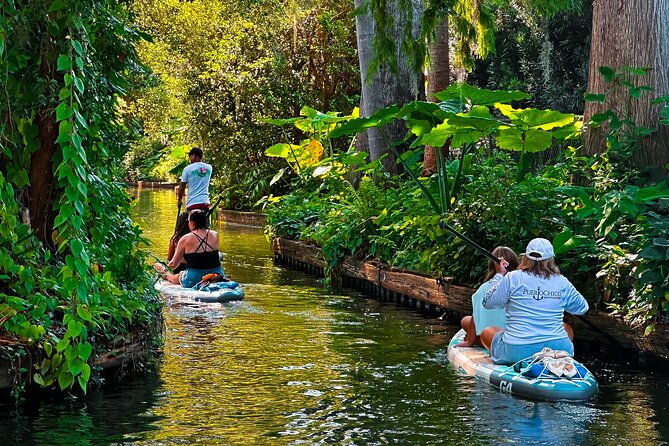 Winter Park Paddle Board Tour - The canals and the feeling of speed: why it stays relaxing
